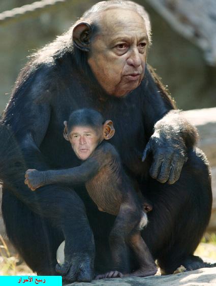 mama ana khayaf man ben laden